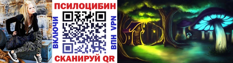 Галлюциногенные грибы Cubensis  Купить где  Новая Усмань 